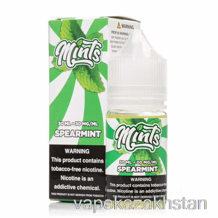 Vape Disposable Spearmint Salts - Mints Vape Co - 30mL 30mg